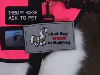 creative-marketing-icon-11 Just Say Whoa to Bullying