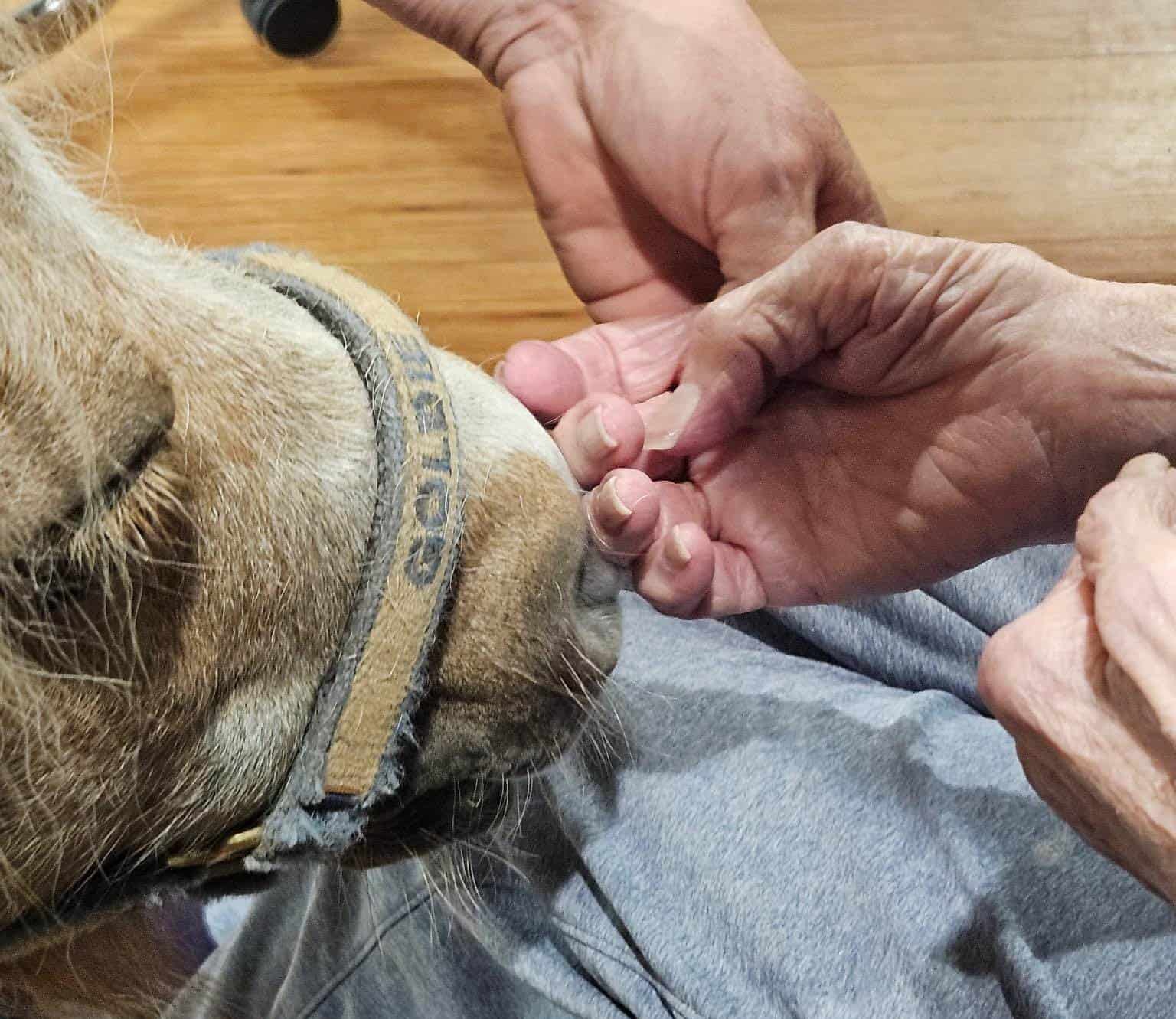 creative-marketing-9 Goldie's Patience with a Beautiful Blind Lady