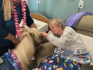 creative-marketing-icon-10 Goldie love for a bedridden senior