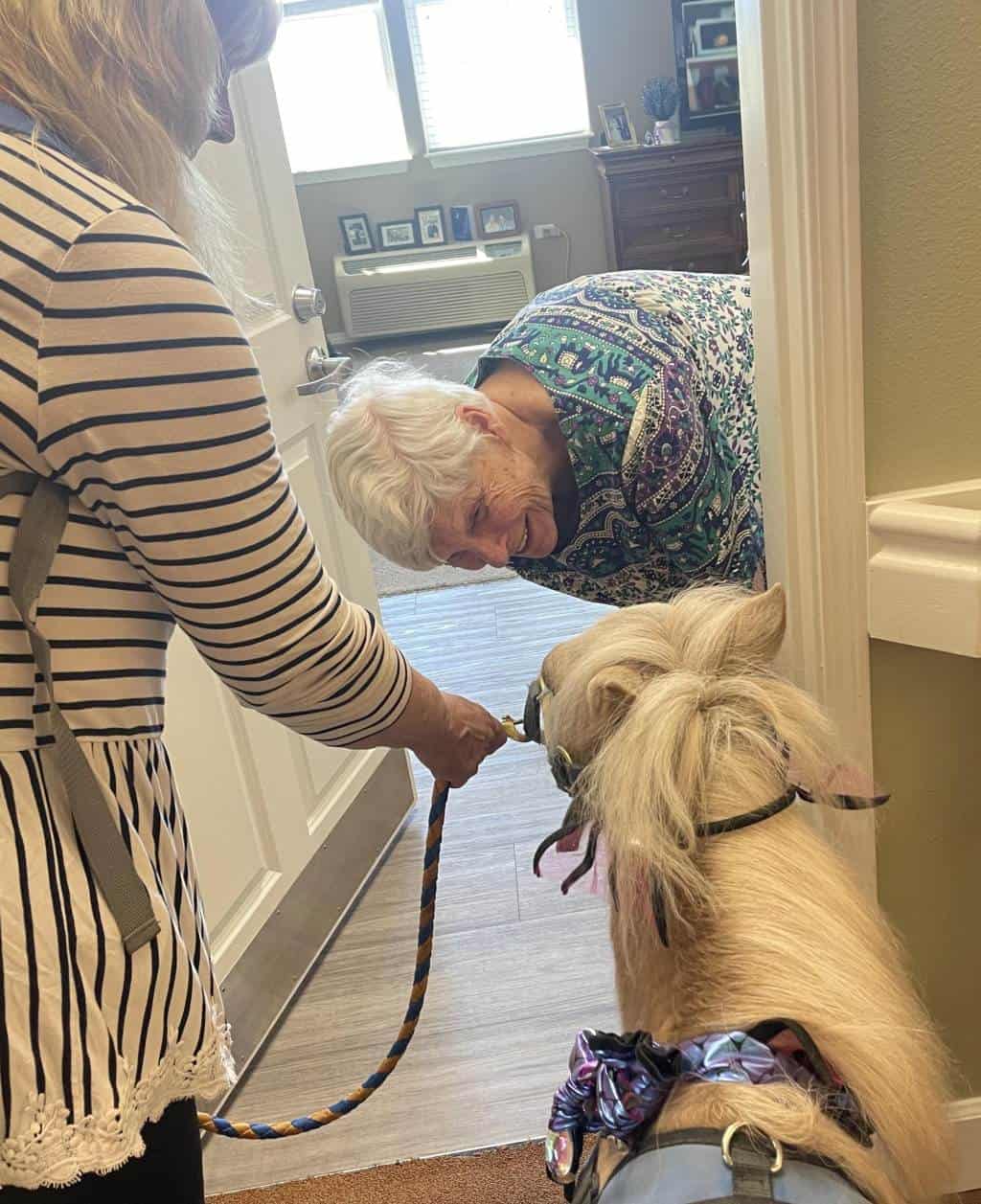 Seeing Eye to Eye with Goldie