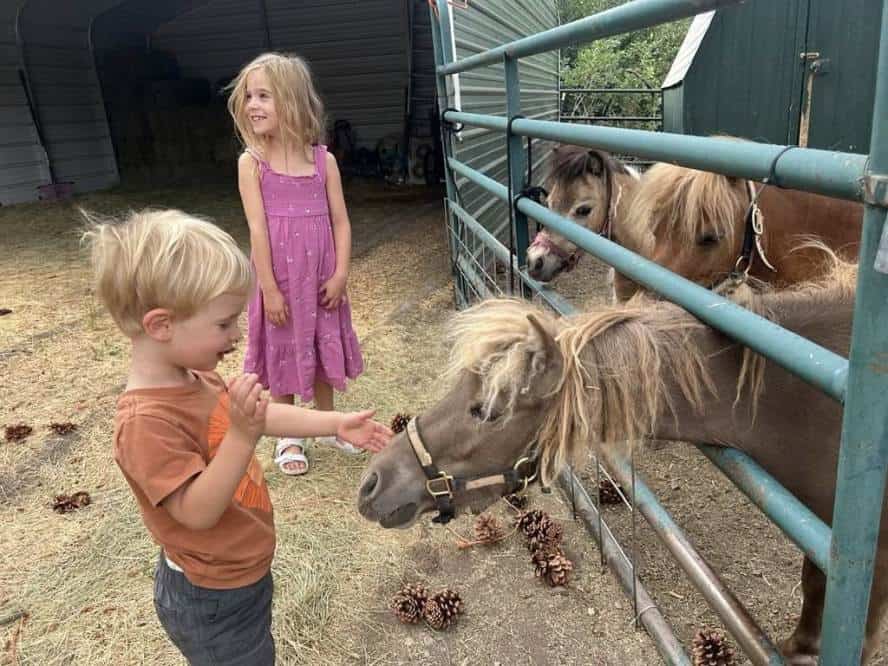 The Horses Love and Connect With Kids