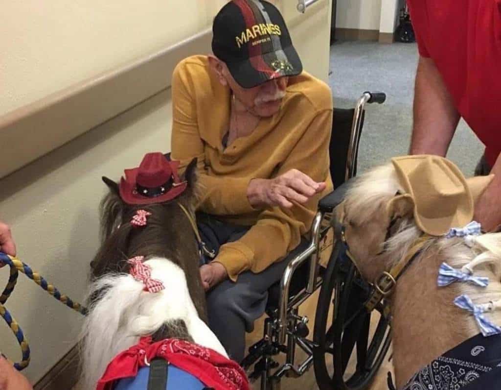 Veteran's Hospital Visit